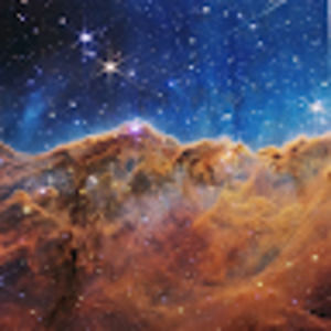 Meet your Posher, Frayda